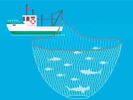 Fiskerbåd med net