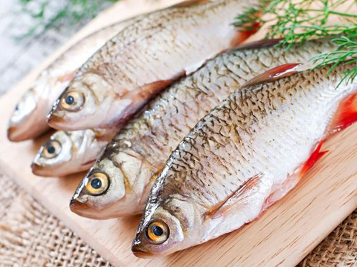 Konventionelt fiskeri har konsekvenser for miljøet, din sundhed og fiskenes dyrevelfærd.