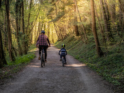 Far og søn cykler i en skov
