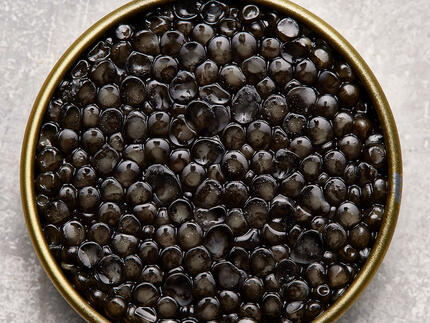 ægte caviar fra Stør
