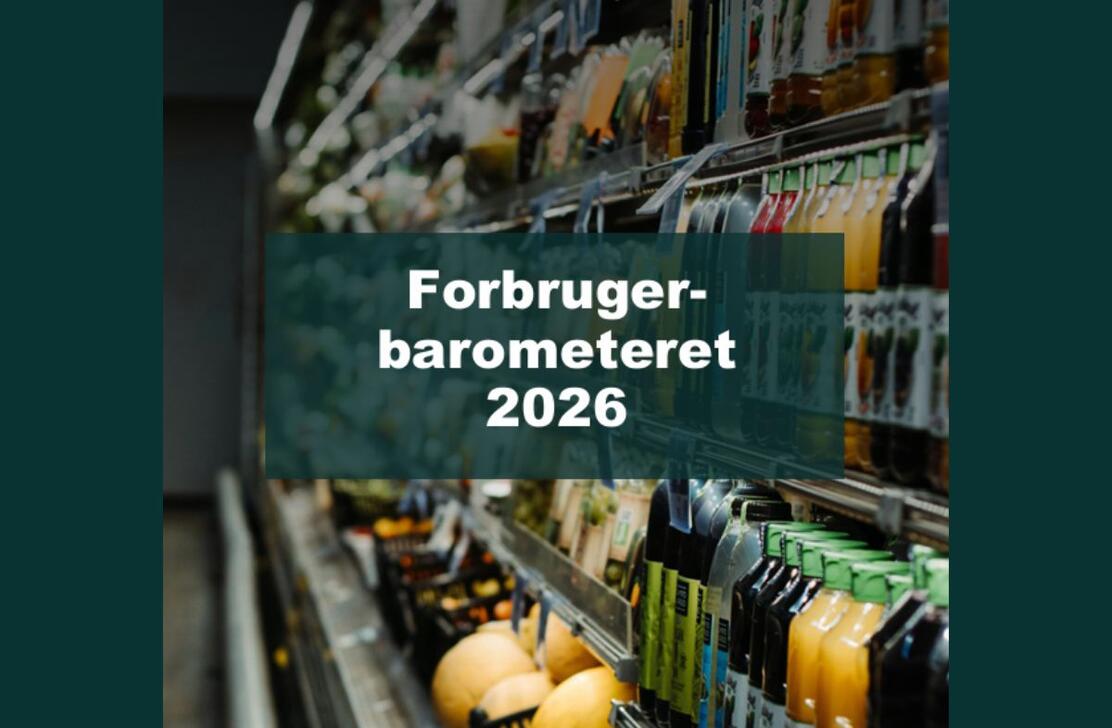 Forside af rapport