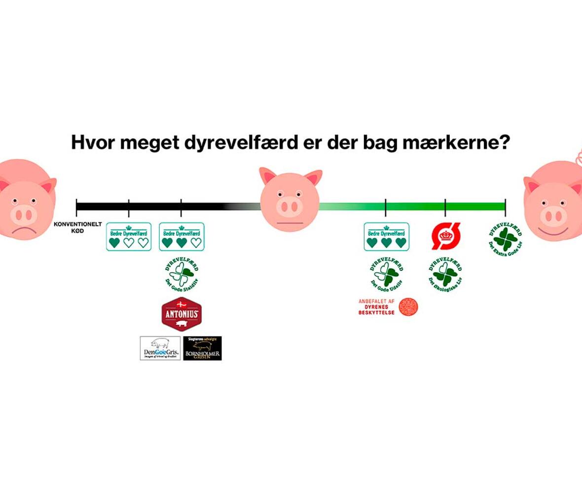 Dyrevelfærd hvilket mærke skal du gå efter