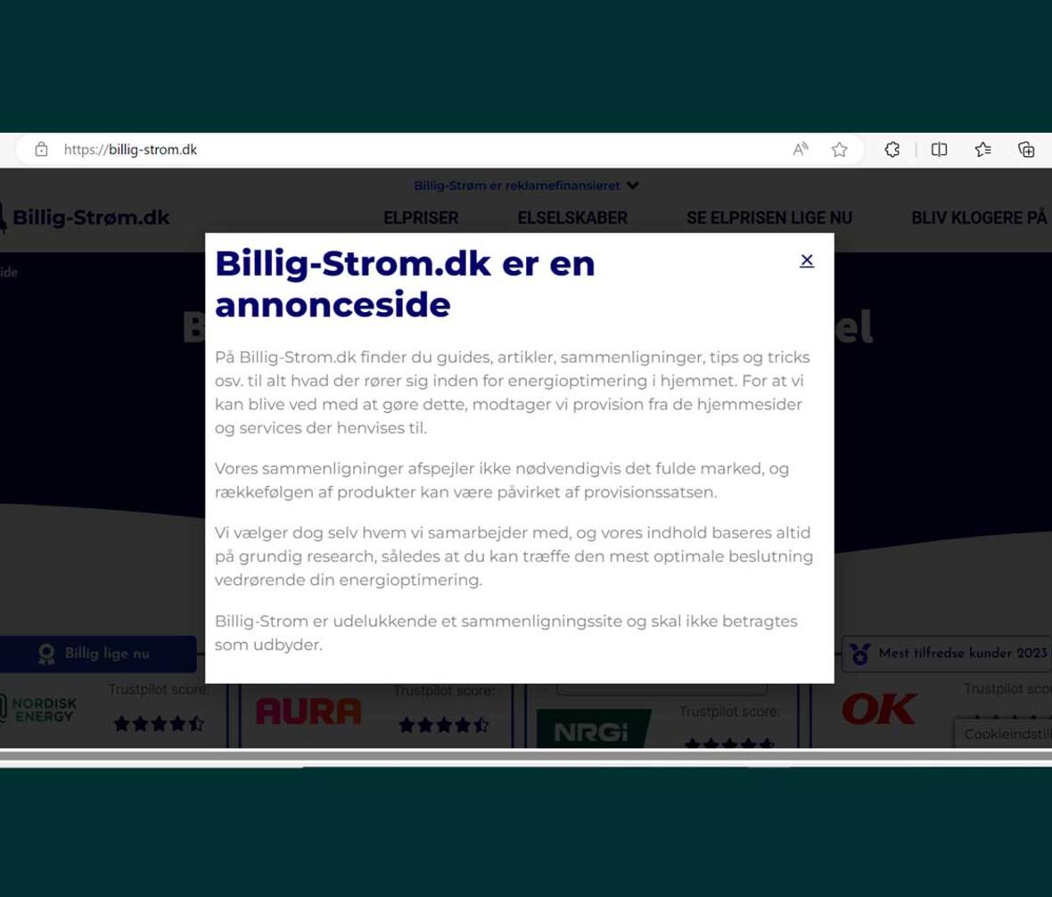Hjemmesiden Billigstrøm.dk