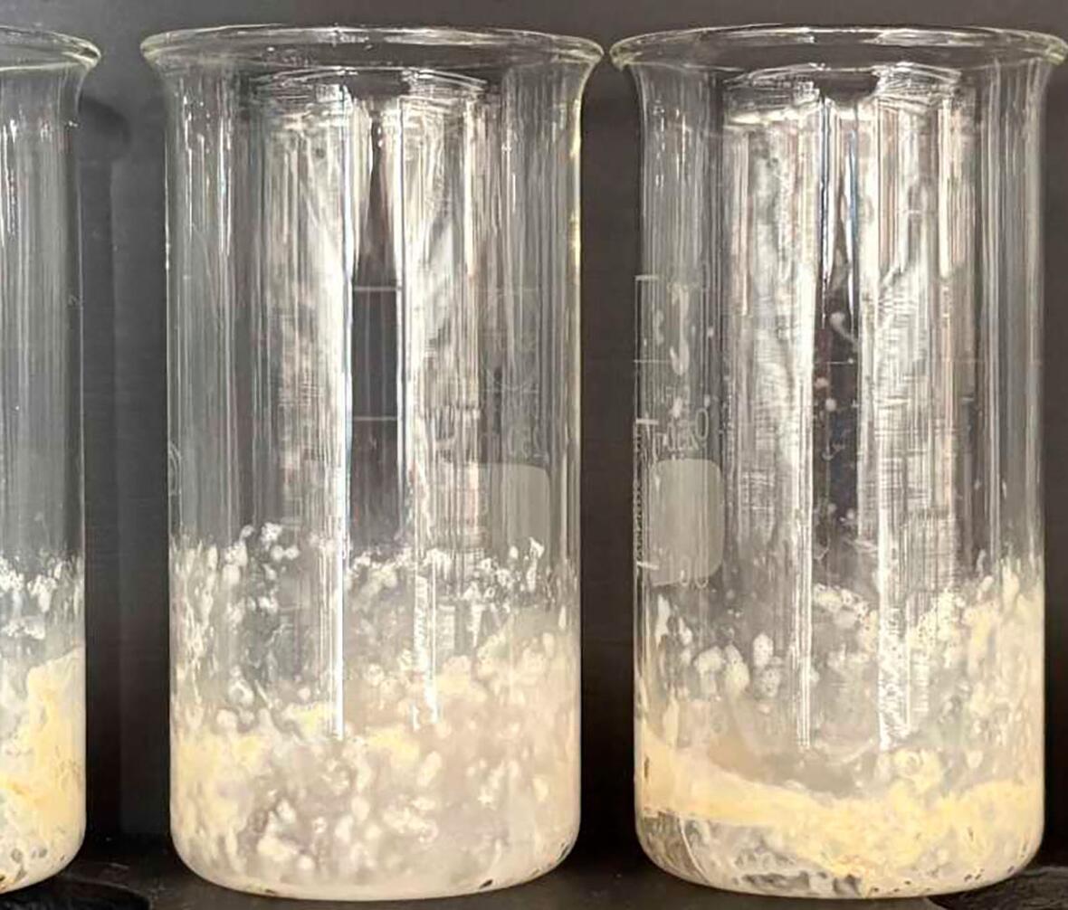 Glas med brændt mælk til test af opvasketabs