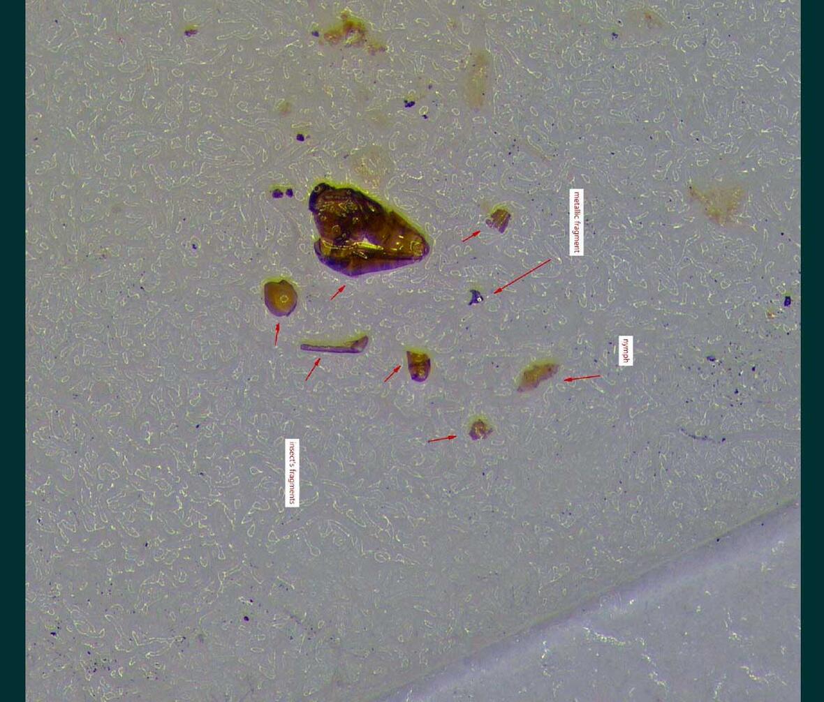 fund af metak fragment