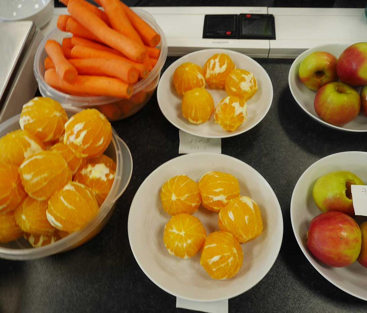 Appelsiner, æbler og gulerødder ligger klar til at blive testet i testen af juicemaskiner