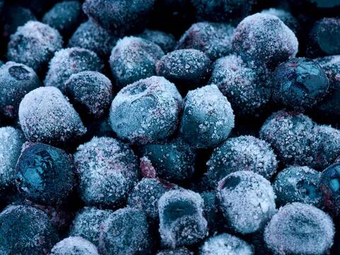 Frosne blåbær er testet for antioxidanter, tungmetaller og pesticidrester.