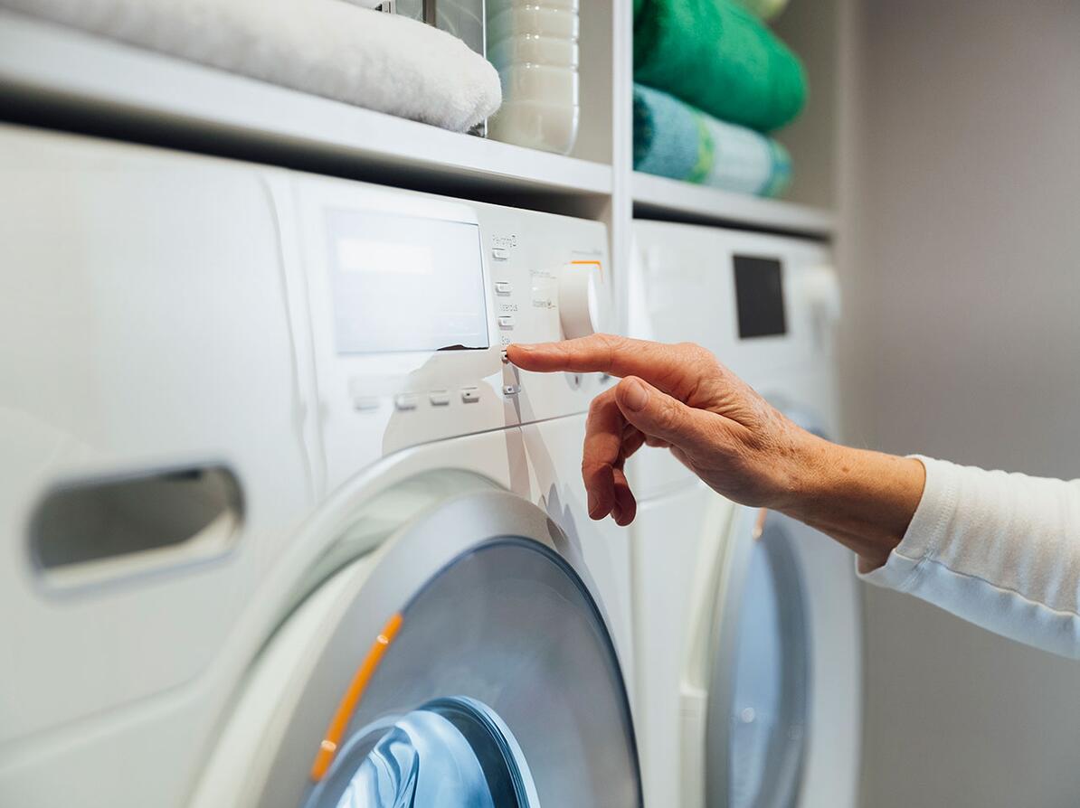 Nathaniel Ward hul bison Vaskemaskiner: Forlæng levetiden med disse gode råd | Forbrugerrådet Tænk
