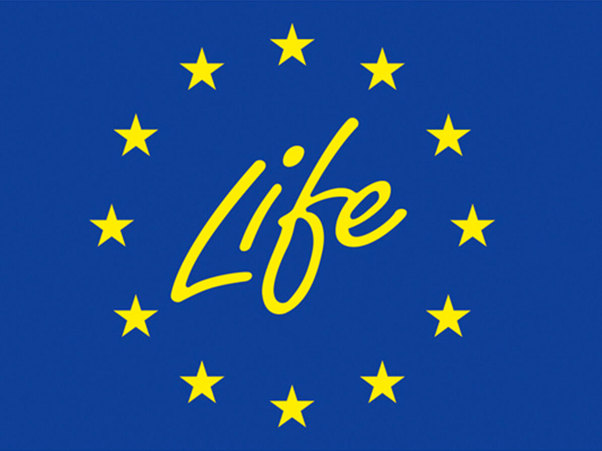 Life europa logo
