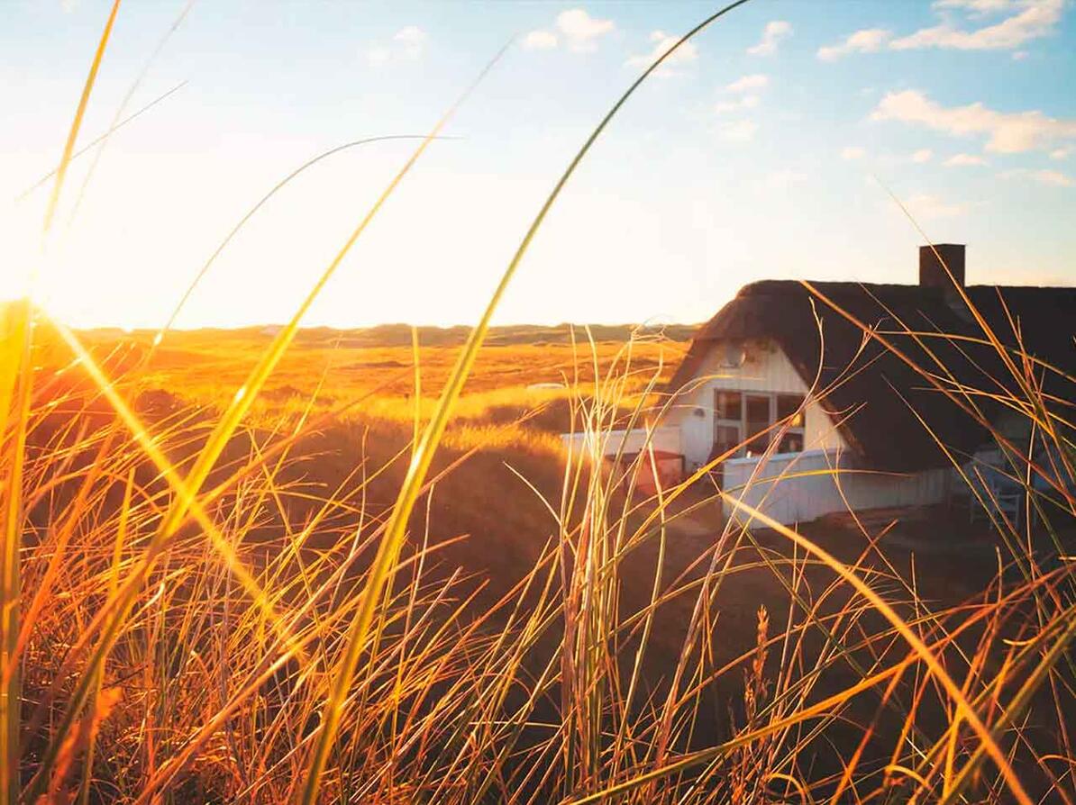 ferielejlighed eller sommerhus tjek dette før du lejer