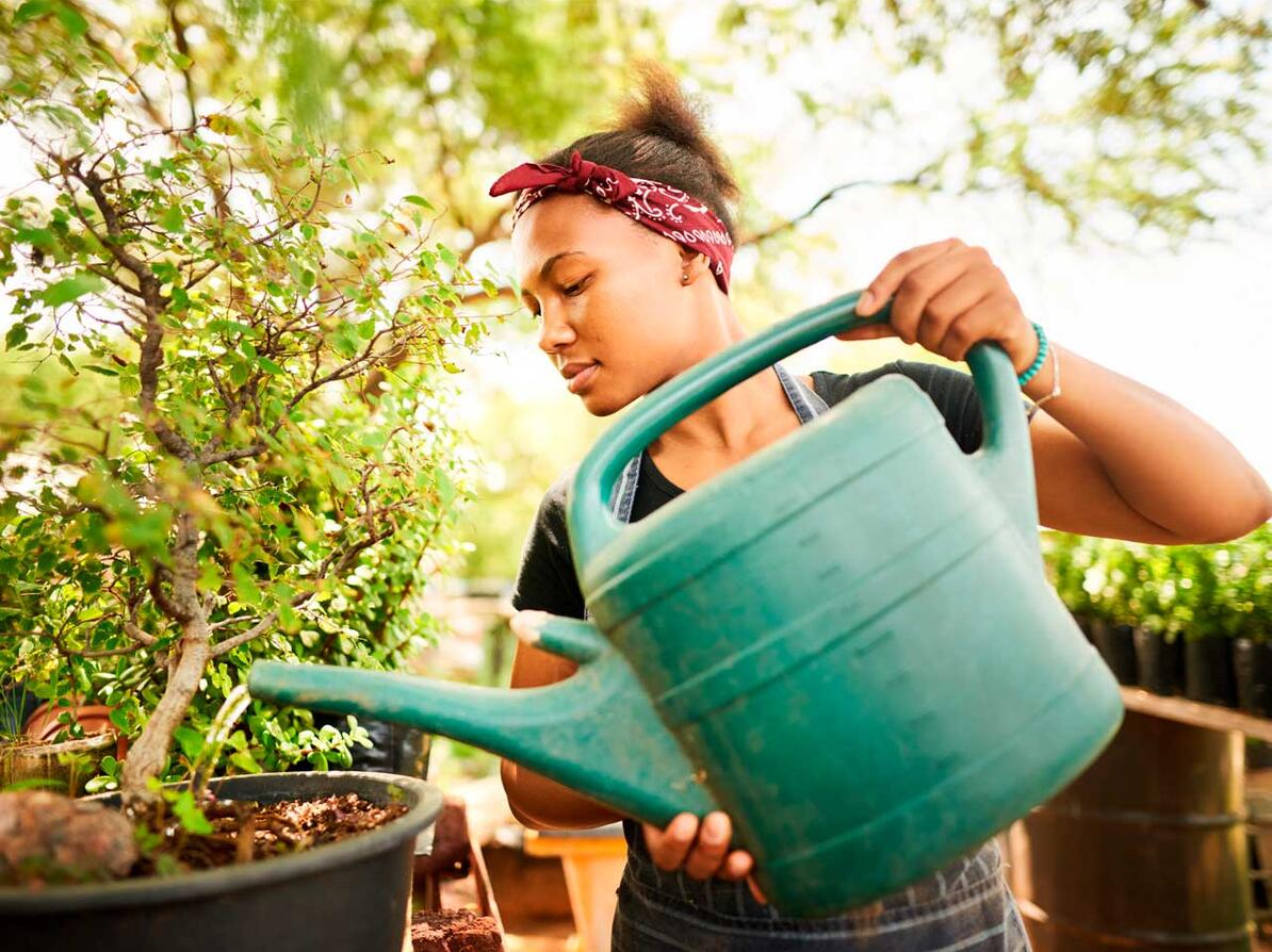 Kvinde vander krukke med plante i jord med spagnum