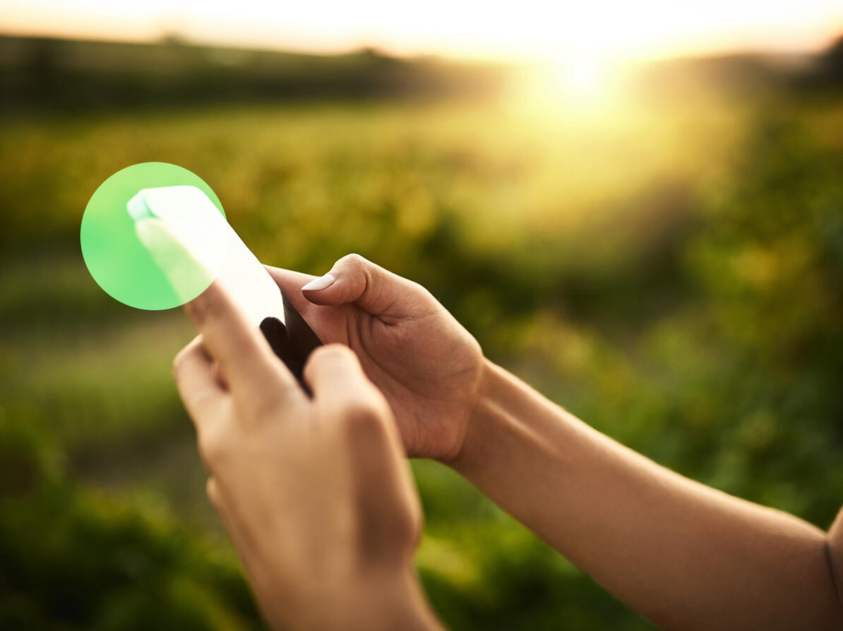 hænder der holder en smartphone, grøn natur i baggrunden