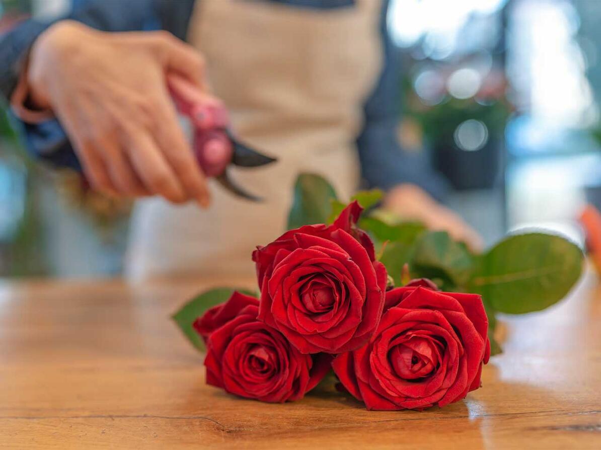 Roser i blomsterhandel