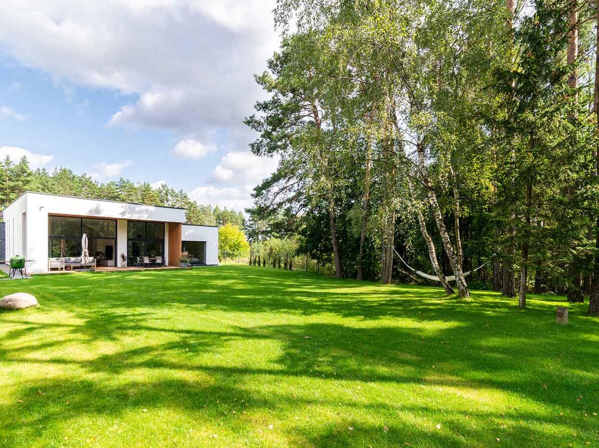 Stor græsplæne i en stor have