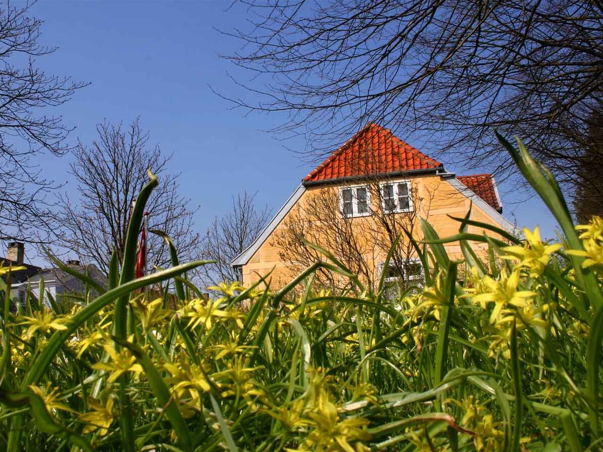 Hus i Danmark om foråret 