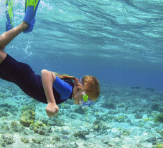 pige dykker efter koraller