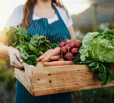 kasse med økologiske grøntsager