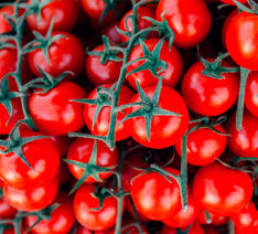 tomater testes for sprøjtemidler