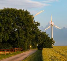 vindmøller i dansk landskab