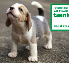 Hundekvalp med Forbrugerrådet Tænks Bedst i Tænk logo