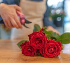 Roser i blomsterhandel