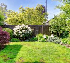 Lille have med en lille græsplæne