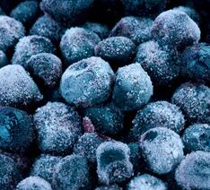 Frosne blåbær er testet for antioxidanter, tungmetaller og pesticidrester.