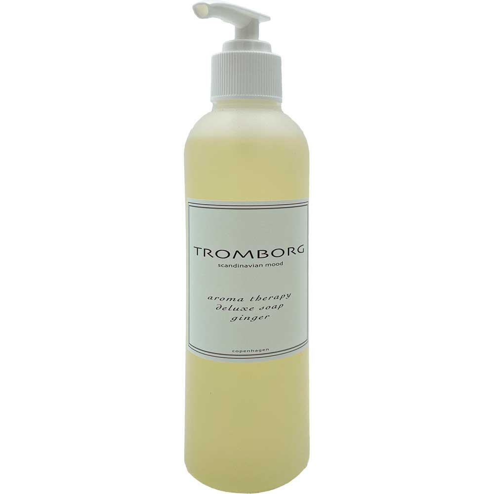Aroma therapy deluxe soap ginger Tromborg