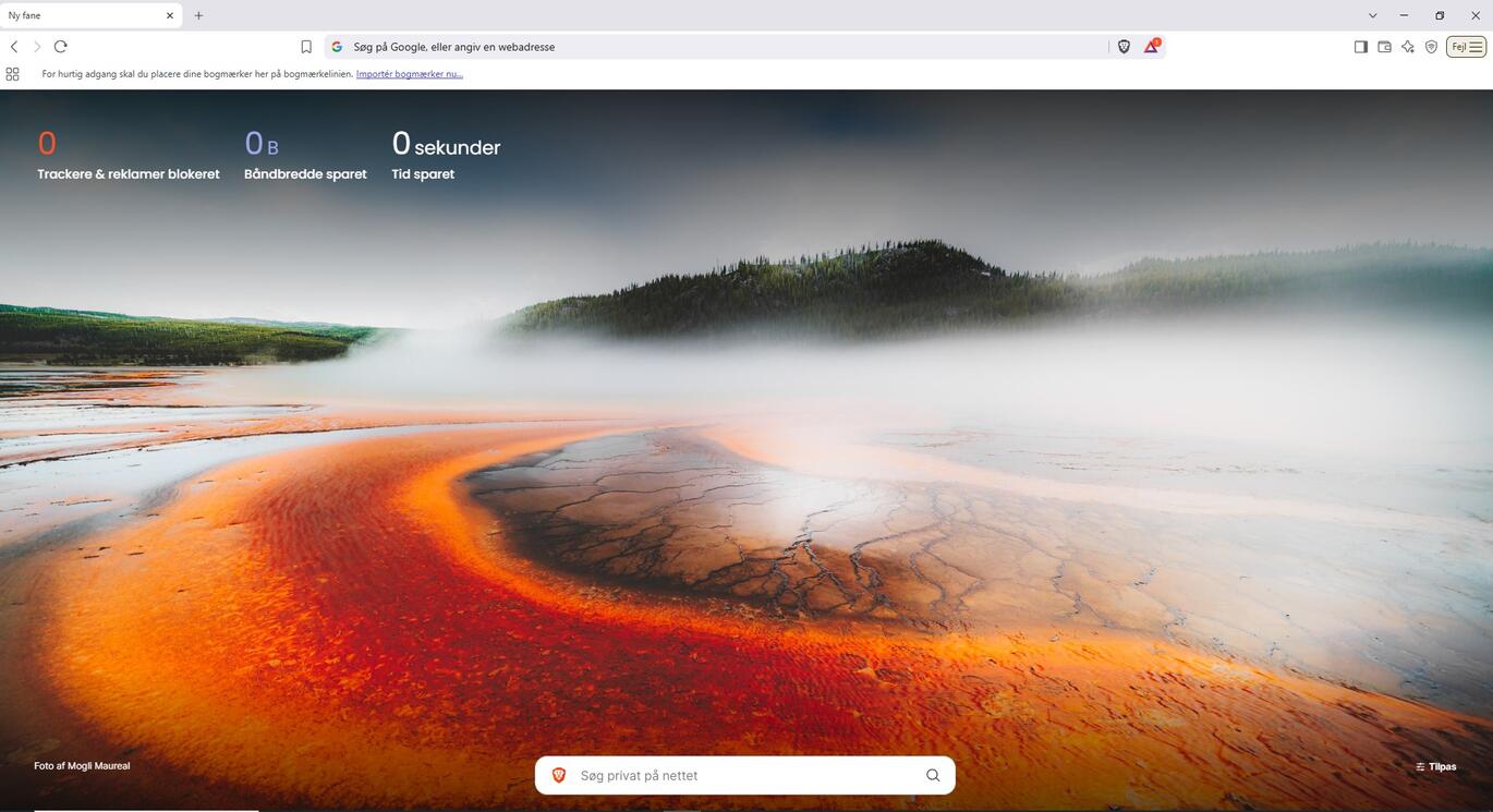 Browser Brave