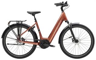 District+ 4 800Wh Trek