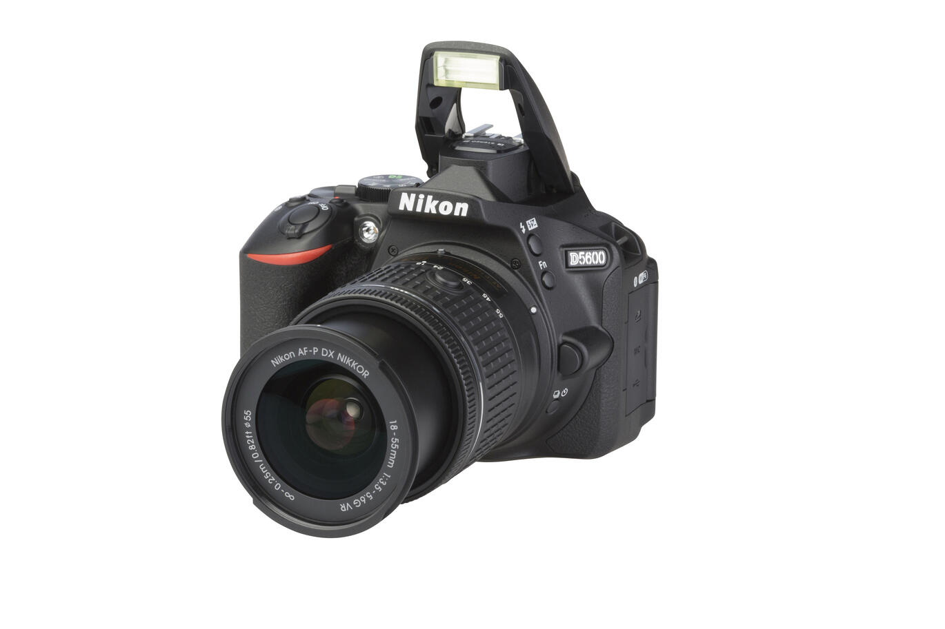 D5600 + AF-P DX NIKKOR 18-55mm 1:3.5-5.6 G VR Nikon