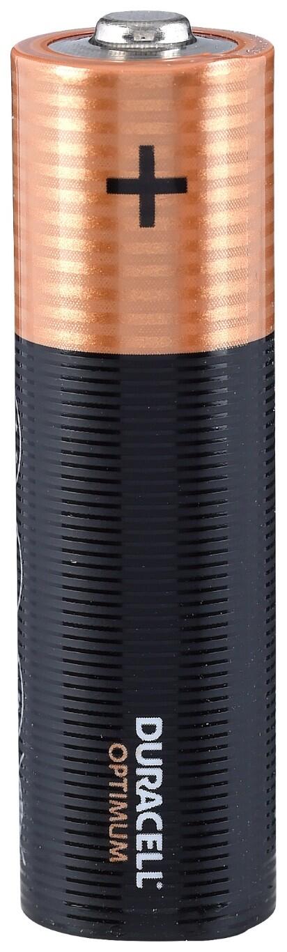 Optimum AA Duracell