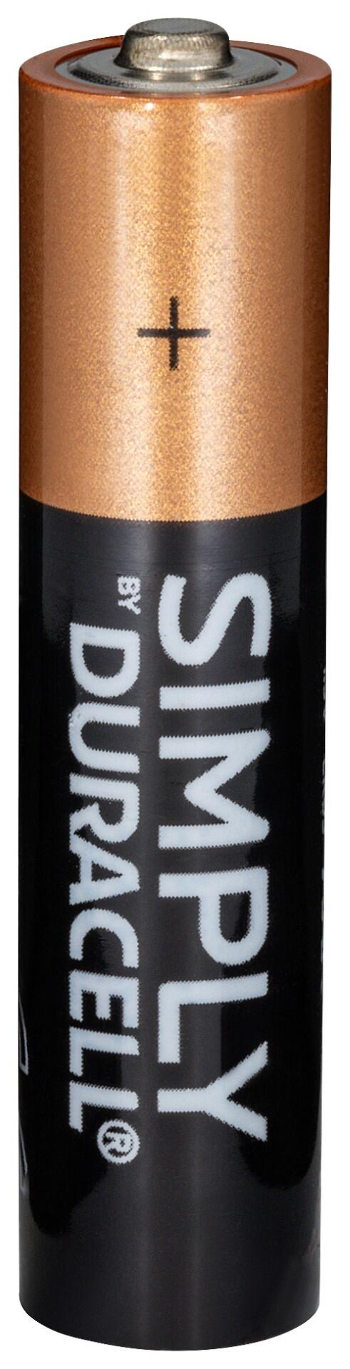 Simply AAA Duracell
