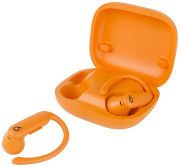 Beats Powerbeats Pro 2
