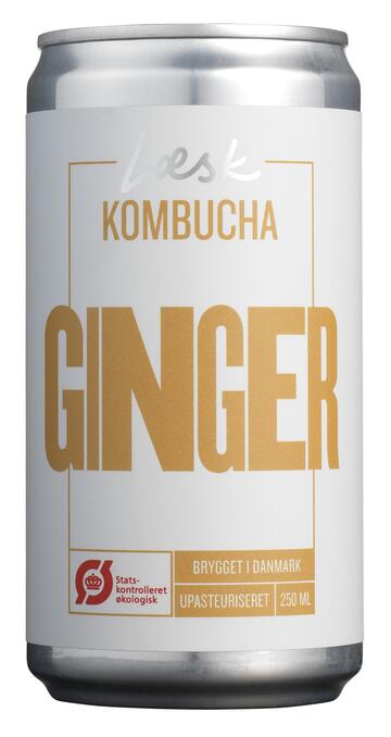 Kombucha - Ginger Læsk
