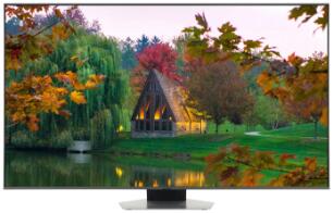 QE55Q80D Samsung