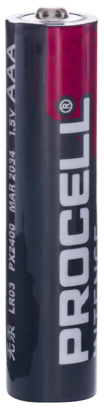 Procell Intense Power AAA
