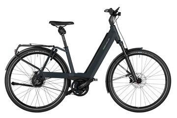Riese & Müller Nevo4 Vario Kiox 300 750Wh
