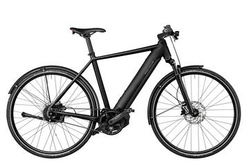 Riese & Müller Roadster4 vario Purion 200