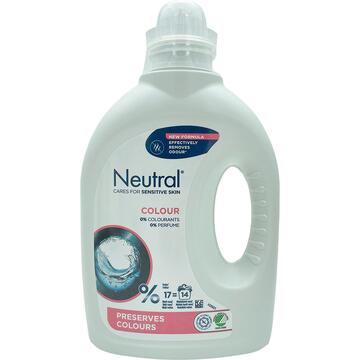 Neutral Colour