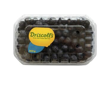 Driscoll's Blåbær