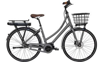 Raleigh Sussex E2 317Wh