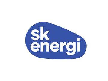 SK Energi Flex El - Folkeskov Månedsafregnet