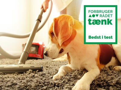 En hund, en støvsuger og bedst i test logo