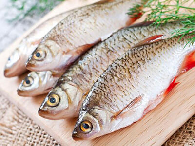 Konventionelt fiskeri har konsekvenser for miljøet, din sundhed og fiskenes dyrevelfærd.