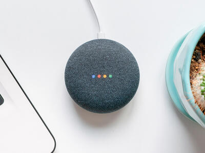 Alexa Google assistant
