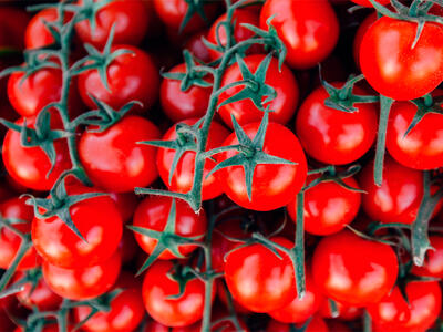 tomater testes for sprøjtemidler