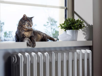 Radiator og kat