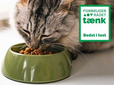 Disse kattemad er Bedst i Test