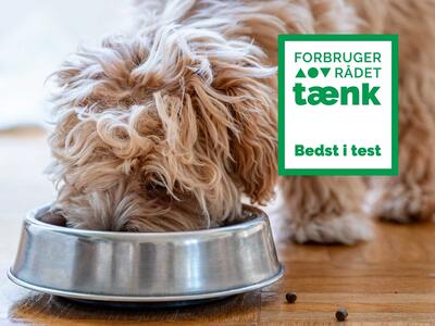 Dette hundefoder er Bedst i Test